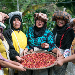 Sumatra Cooperativa Mujeres... 2