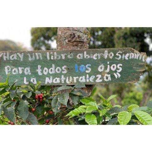 Colombia - Cápsulas compostables