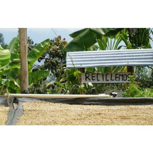 Colombia - Cápsulas compostables