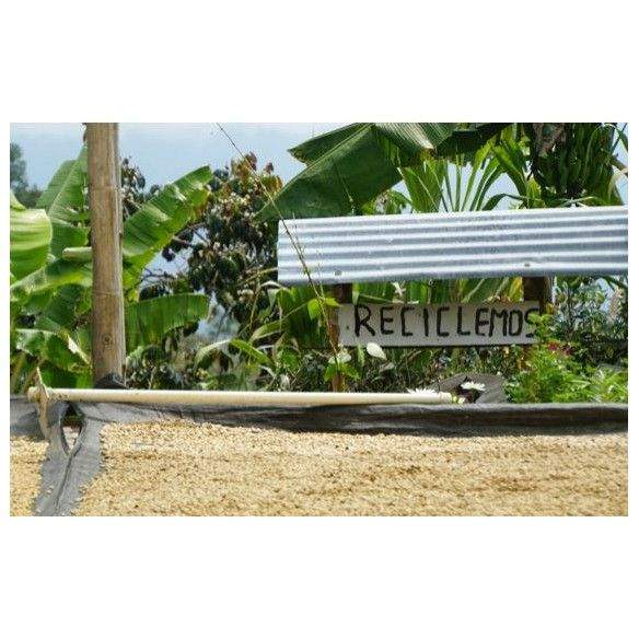 Colombia - Cápsulas compostables