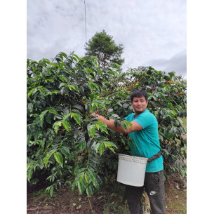 EL EDÉN, Perfil afrutado suave 2