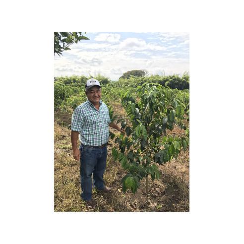 Jairo Arcila, Cofermentado con Melocotón