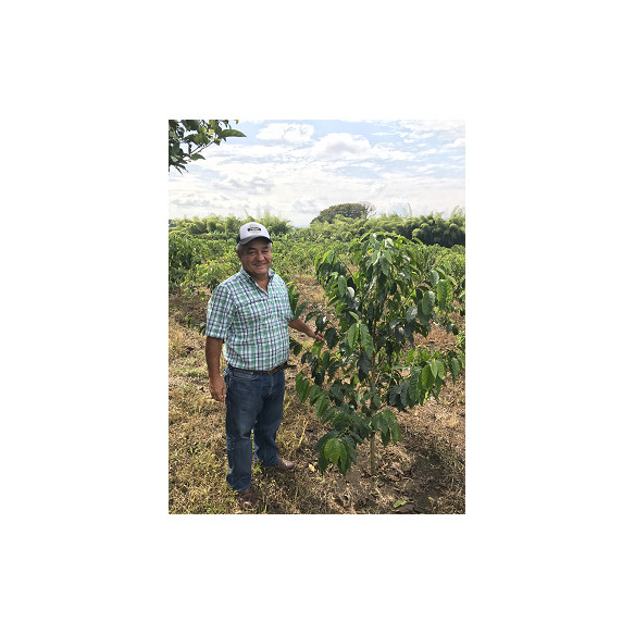 Jairo Arcila, Cofermentado con Melocotón