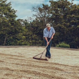Café San Sebastián - Colombia 2