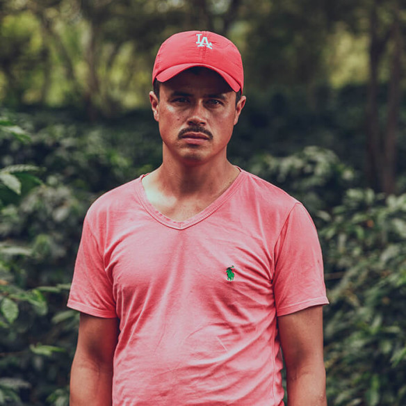 Café San Sebastián - Colombia