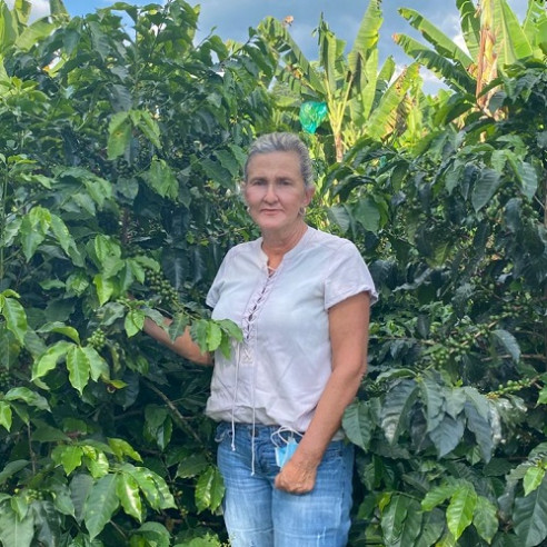 Pink Bourbon de Luz Helena Salazar,...