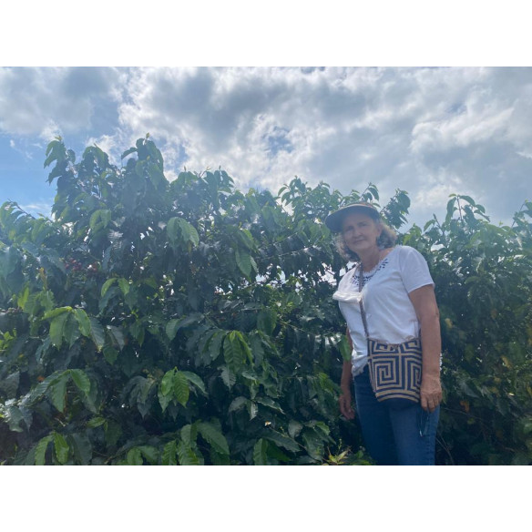 Pink Bourbon de Luz Helena Salazar, Colombia