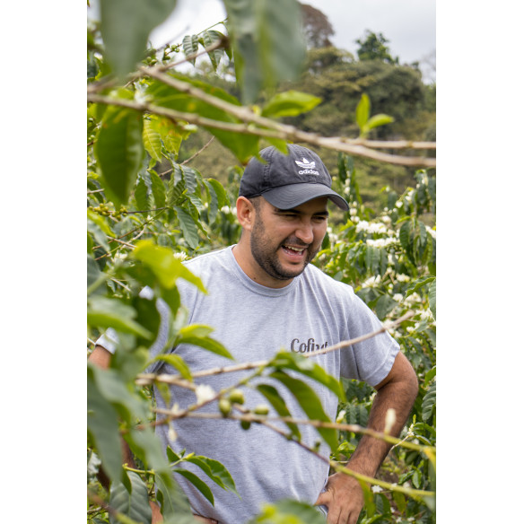 GESHA NATURAL DE JARDINES DEL EDÉN, COLOMBIA
