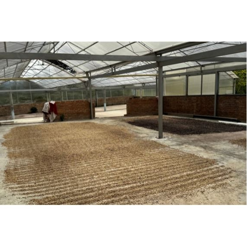 Café Pitalito - Colombia