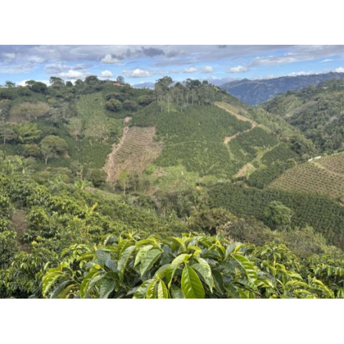 Colombia - Cápsulas compostables