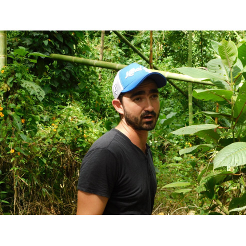 ARTURO ARANGO CHIROSO NATURAL