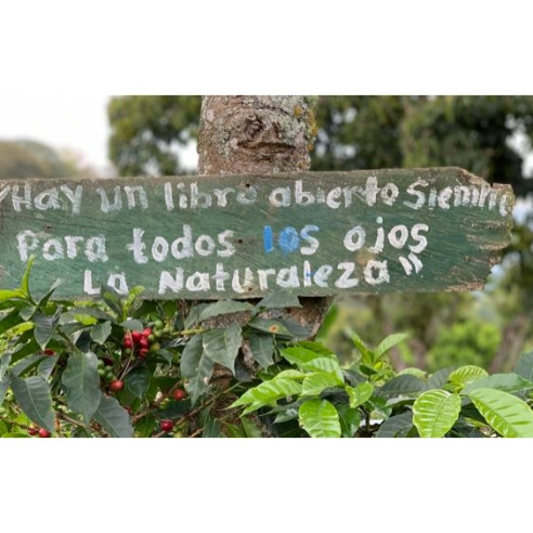 SAN JOSÉ - Colombia