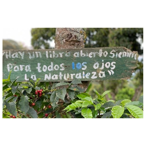SAN JOSÉ - Colombia
