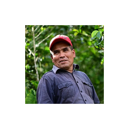 FLOR MORADA, SEBASTIÁN ALCÁNTARA