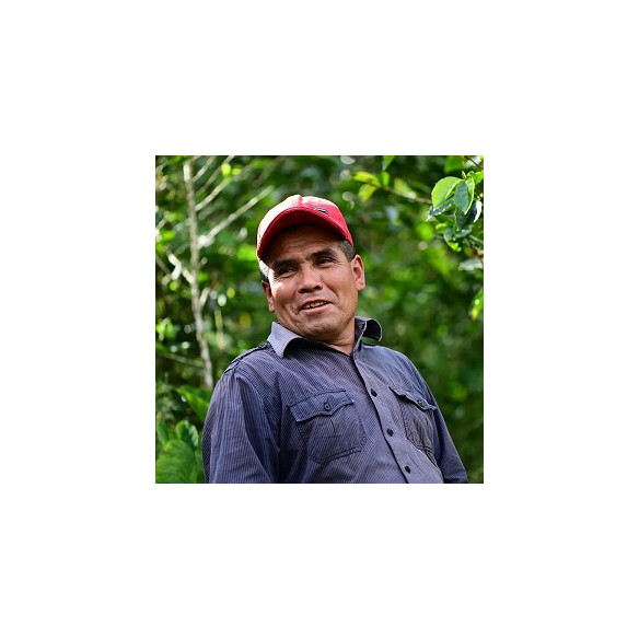 FLOR MORADA, SEBASTIÁN ALCÁNTARA