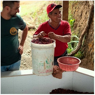 FLOR MORADA, SEBASTIÁN... 2