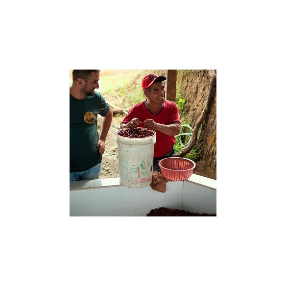 FLOR MORADA, SEBASTIÁN ALCÁNTARA