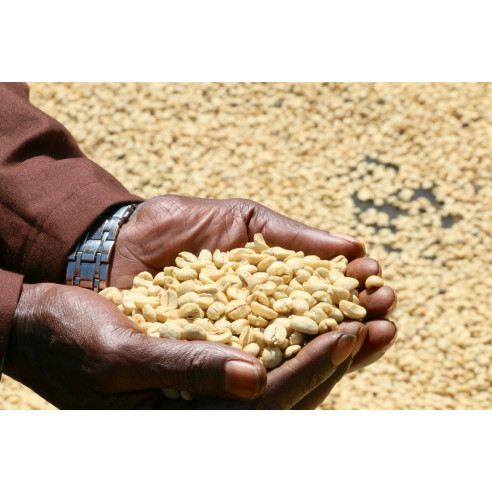 KIANDU AA, KENIA